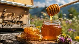 عسل کوهی اصل با عطر دلنشین گل های وحشی